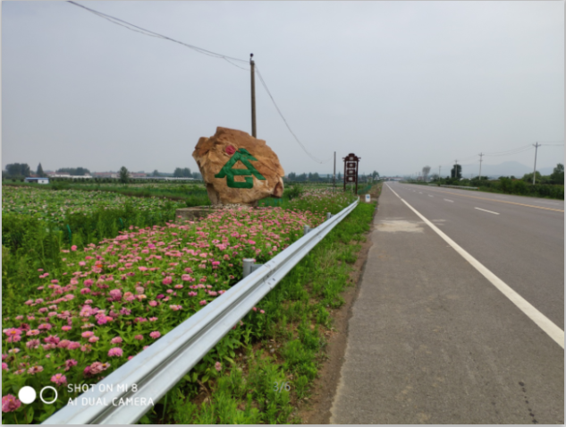 金農(nóng)谷荷園即將開園啦